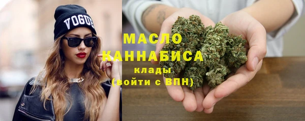 сатива Сясьстрой