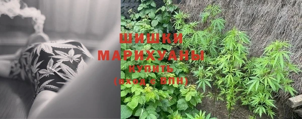 гидра Беломорск