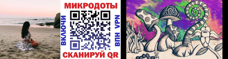 Псилоцибиновые грибы Psilocybe  Нерехта 